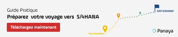 Prepping for S/4Hana Guide FR