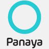 Panaya Team