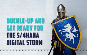 Buckle Up and Get Ready for The S/4HANA Digital Storm