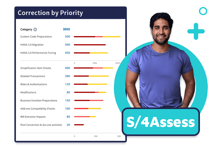 S4Asses - Conversion Assessment Screen