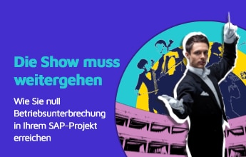 Wie Sie null Betriebsunterbrechung in Ihrem SAP-Projekt erreichen